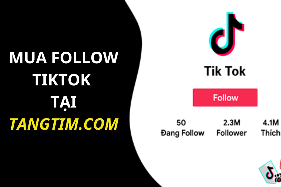 Lý do Tăng Follow TikTok là Quan Trọng